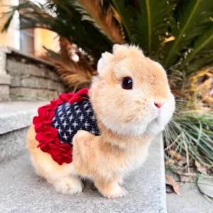 Rabbit Clothes Leash Bunny Petal Skirt Guinea Pig Cat Thermal Strap Lop-eared Dwarf Rabbit Outing Accessories Pet Traction Rope