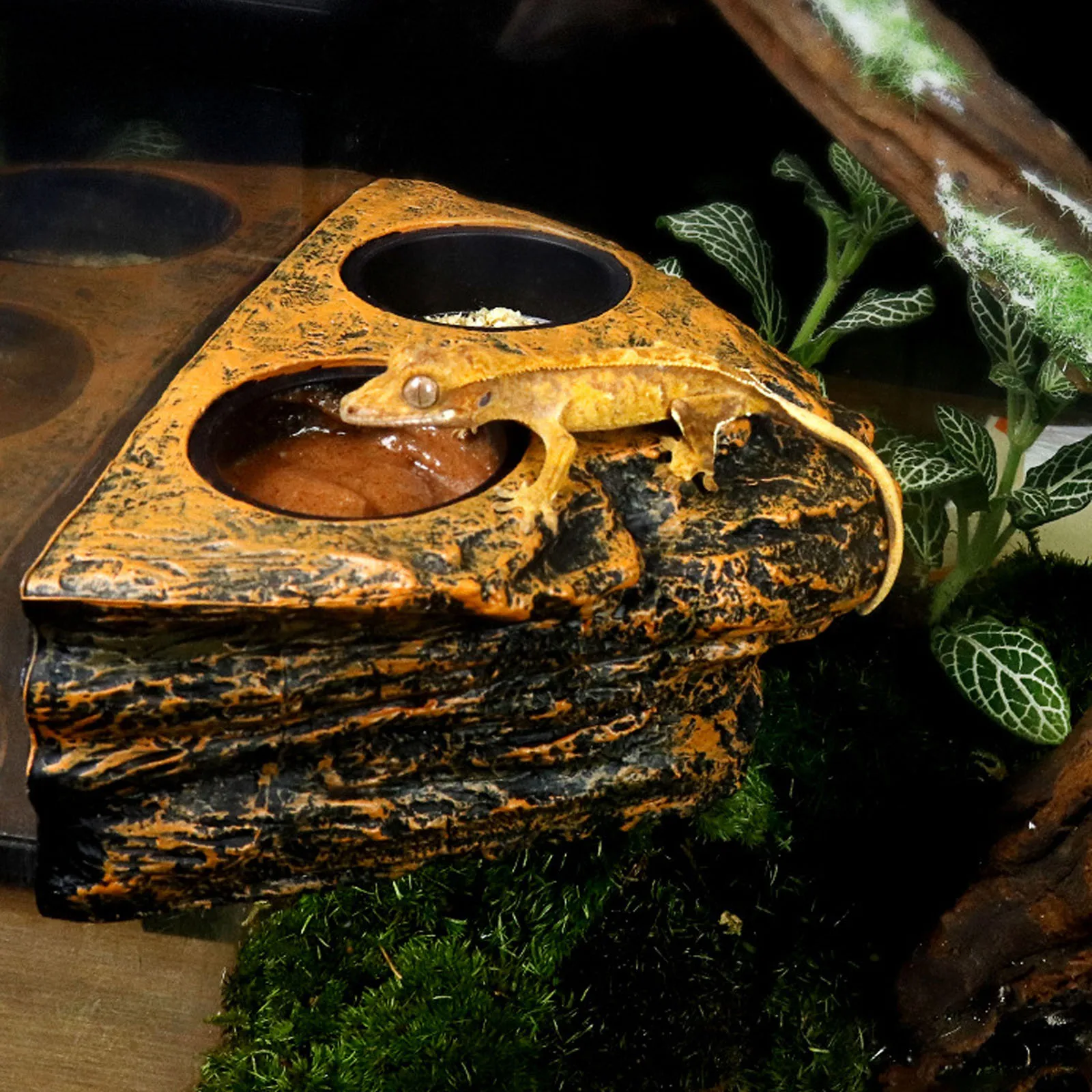 Reptile Magnetic Feeder Ledge Reptile Food Water Dish Bowl Terrarium Tank Decor Accessories for Gecko Lizard Chameleon Pets - Image 4