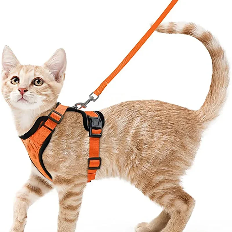 Summer Cat Dog Harness Lead Leash Adjustable Vest Polyester Mesh Breathable Harnesses Reflective for Small Dog Cat Lesah - Image 8