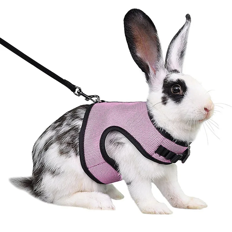 Mesh Breathable Ferret Bunny Harness Leash Set for Small Animals Rabbit Hamsters Summer Walking Pet Lead mascotas Accessories - Image 8
