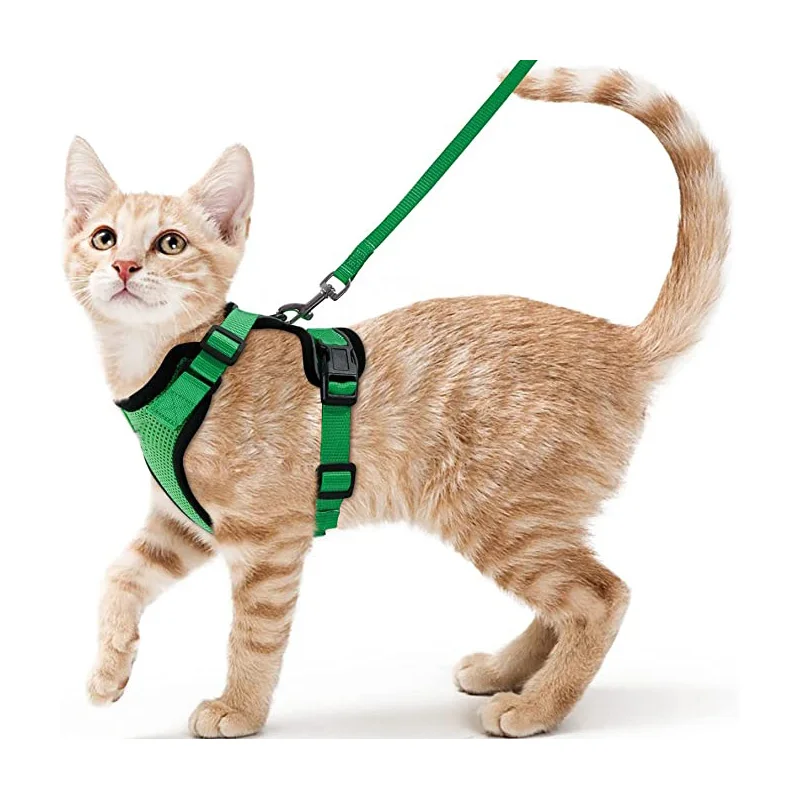 Summer Cat Dog Harness Lead Leash Adjustable Vest Polyester Mesh Breathable Harnesses Reflective for Small Dog Cat Lesah - Image 10
