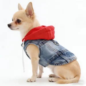 Denim Pet Clothes for Small Dogs Puppy Jeans Hoodie with Gray Cap Blue Denim Chihuahua Jacket 2026 New Designer Cowboy Shirt
