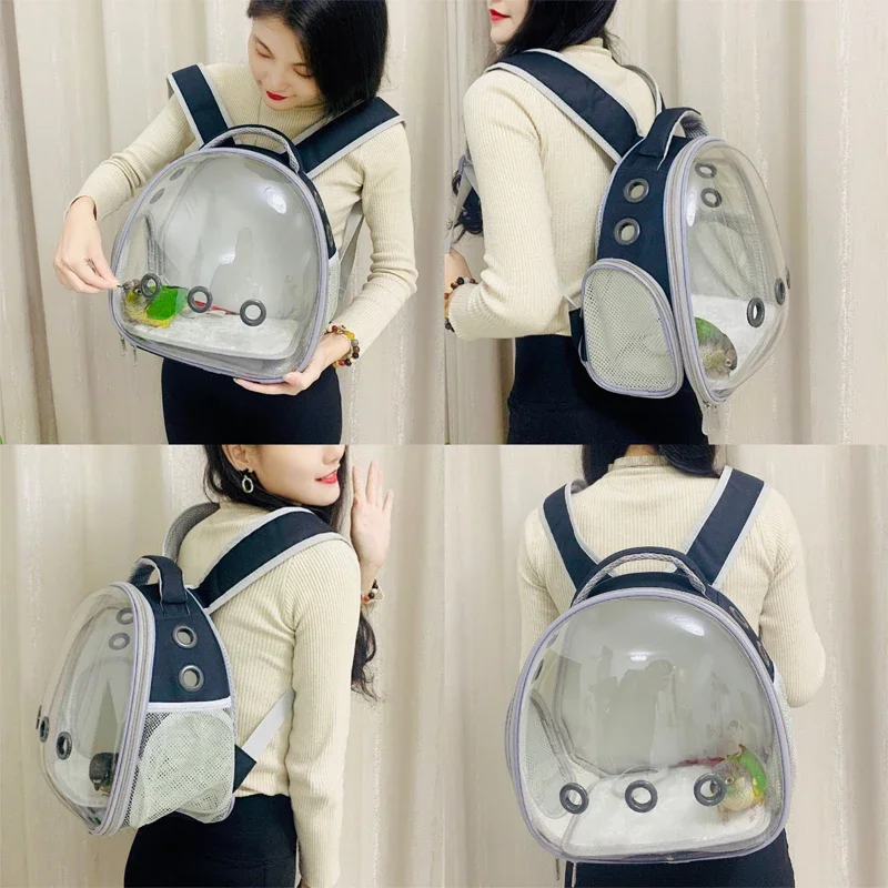 Transparent Pet Backpack for Hamsters Small Carrier for Guinea Pigs Sugar Gliders Ferrets Rabbits Convenient Pet Transport - Image 2