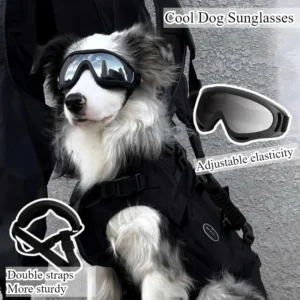 New Dog Goggles UV Protection Windproof Sunglasses Adjustable Pet Eyewear for Outdoor Cycling Beach Anti Glare Safety Glasses