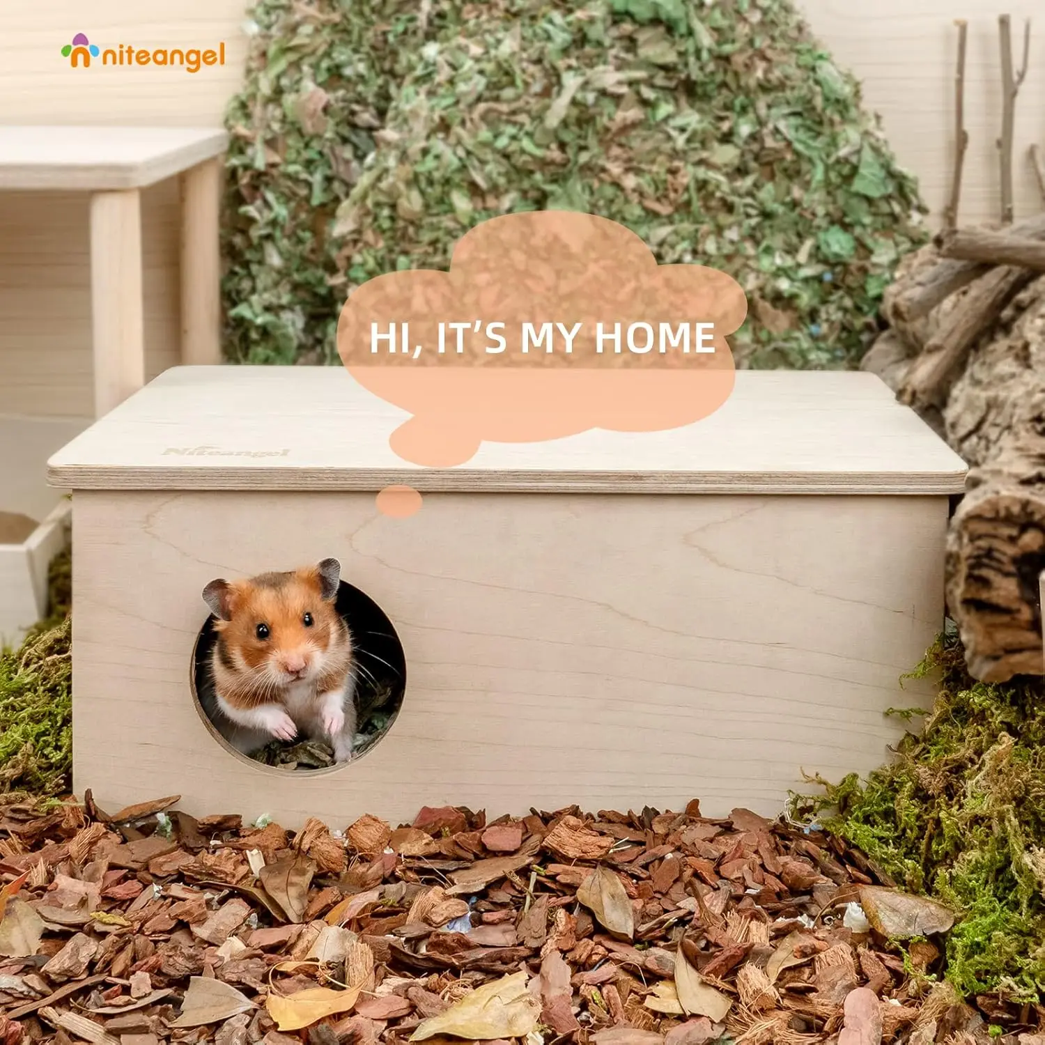 Birch Chamber-Maze Hamster Hideout - Small Pets Woodland House Habitats Decor for Hamster Mice Gerbils Mouse - Image 6