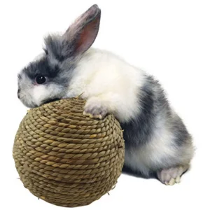 6/10cm Chewing Braided Ball Guinea Pig Rabbit Hamster Small Animal Play Pet Interactive Chew Toy Natural Grass Ball Fun Pet Toys