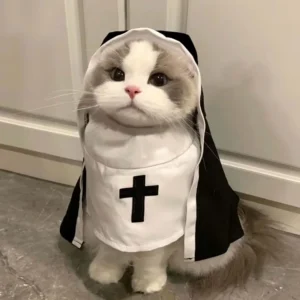 Nun Cat Costume Pet Clothes Small Dog Apparel Breathable Funny Party Festival Photo Props Dog Accessories