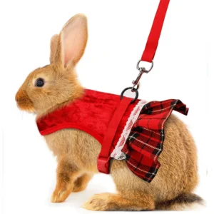 Cute Rabbit Chest  Harness with Leash Christmas Pet Vest Rabbit Rope with Skirt Cat Dutch Pig Chest