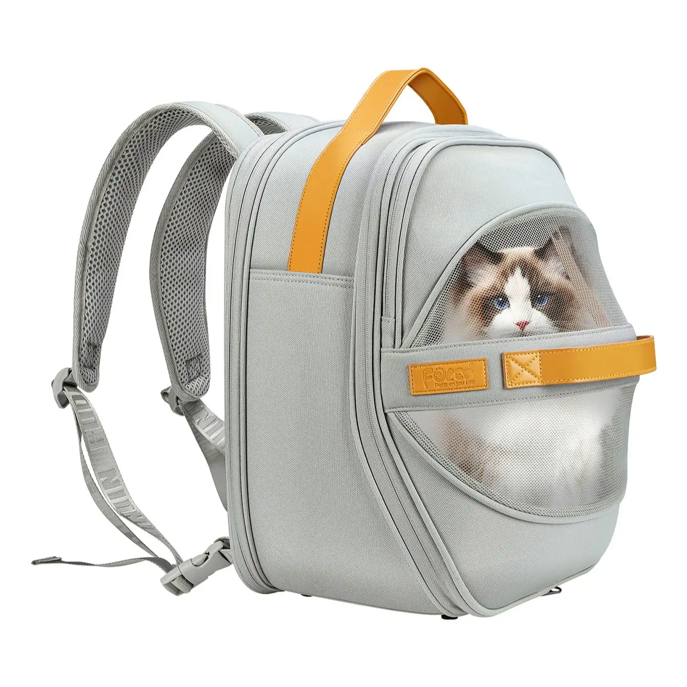 Breathable Dog Carrier Backpack for Small to Medium Dogs And Cats with Head out Design Comfortable Hands-Free Hiking Travel - Image 7