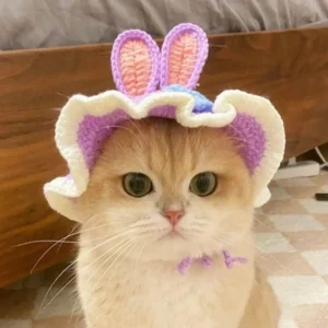 Handmade Funny Cat Hat Refined Elastic Photo Shoot Props Puppy Kittens Knitted Hat Pet Hat Autumn Winter