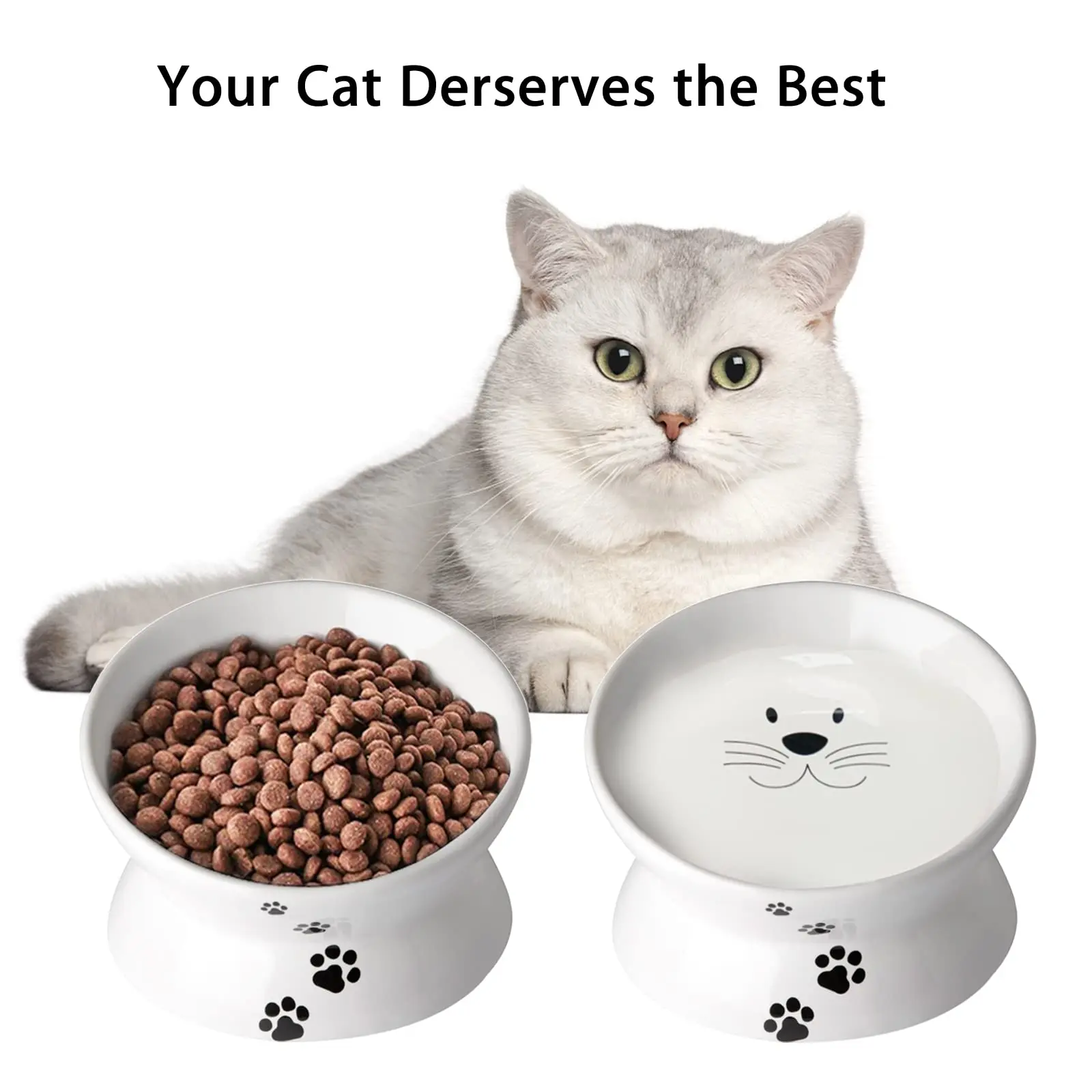 15° Tilted Raised Cat Bowl, Ceramic Anti-Vomiting Pet Dish Whisker Friendly Neck Protection Non-Slip Dishwasher Safe for Cats