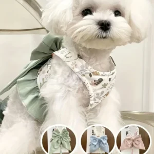 Dogs Harness Harnesses and Wears Necklaces Dog Collar Pet Collar Things for Cats Puppy Accessories Leash Set Collars Vests