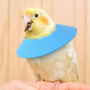 Adjustable Recovery Cone for Small Animals - Comfortable Soft Anti Licking Collar for Wound Care for Birds, Bunny, Guinea Pigs