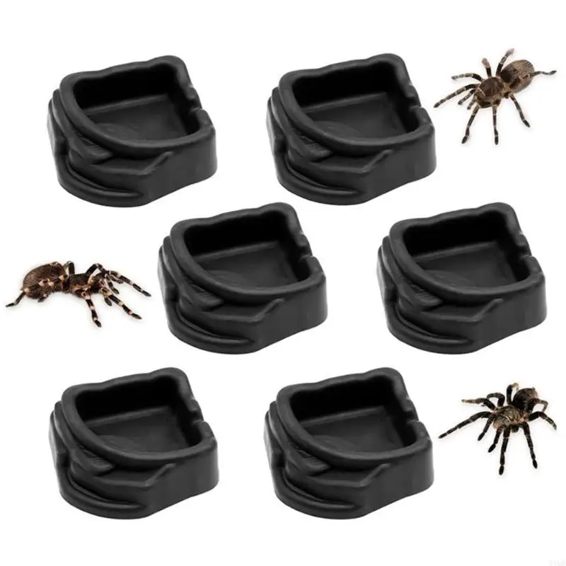 6pack Pet Water Bowls for Invertebrates Like Spiders Easyly Clean Plastic - Image 3