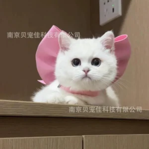 Mary Cat Bow Tie Pet Collar Scarf Cat Necklace Decoration Bichon Puppy Leash Toy Cat Home Garden Pet Supplies Accessories