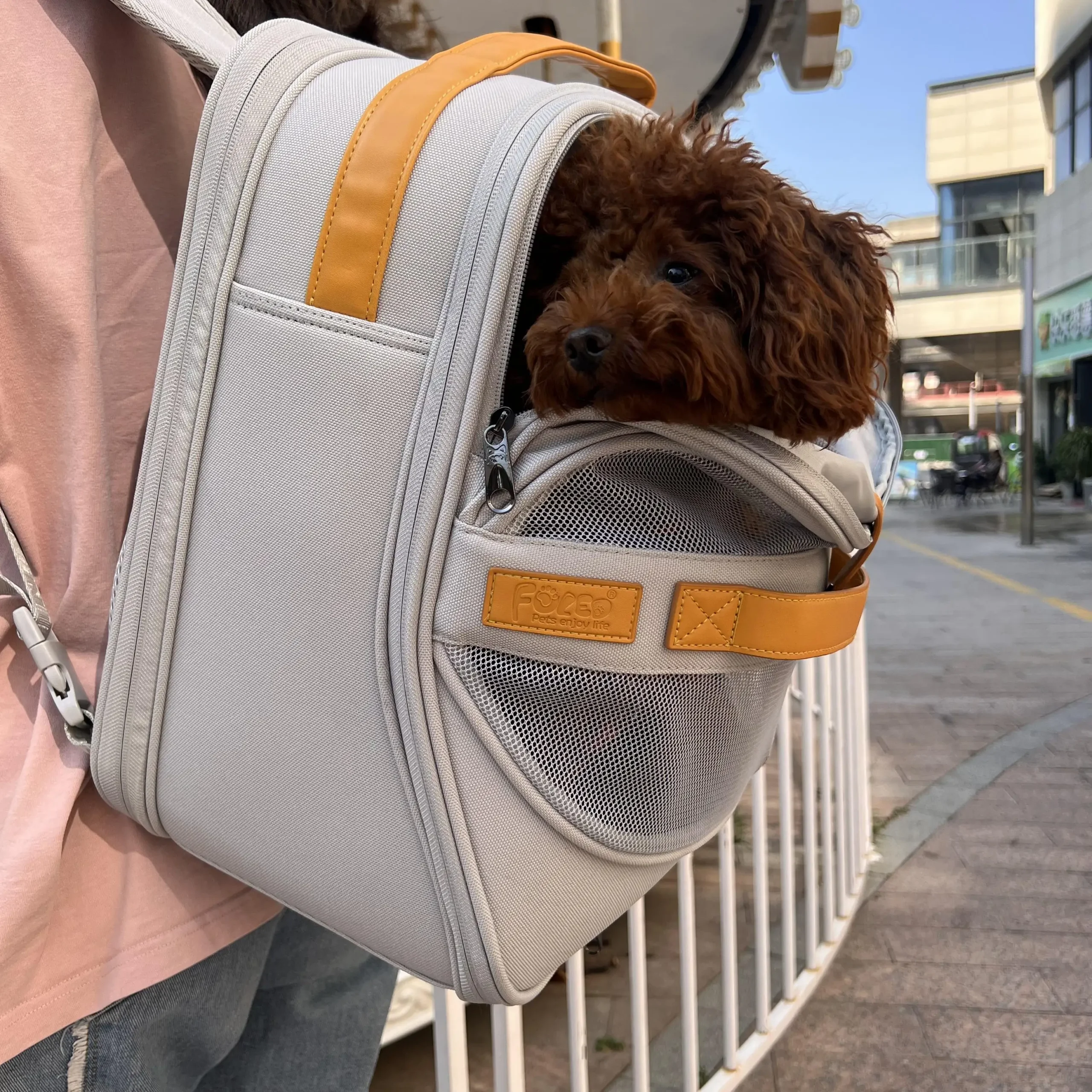 Breathable Dog Carrier Backpack for Small to Medium Dogs And Cats with Head out Design Comfortable Hands-Free Hiking Travel