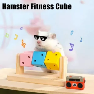 1pcs Hamster Fitness Cube Colorful Multi Faceted Activity Stress Relieving And Anti Depressant Toys For Hamster Sports
