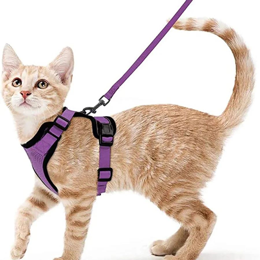 Summer Cat Dog Harness Lead Leash Adjustable Vest Polyester Mesh Breathable Harnesses Reflective for Small Dog Cat Lesah - Image 9