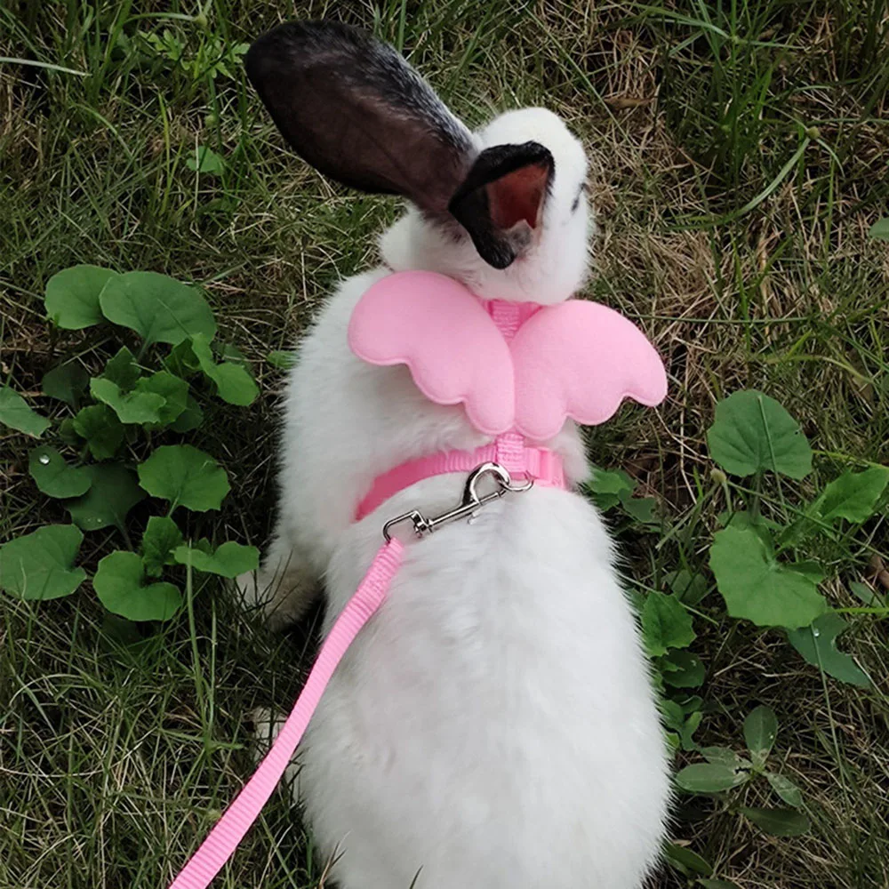 Small Animal Rabbit Harness with Leash Cute Bunny Collar Pet Bunny Supplies Cat Harness & Leash Set for Adult Guinea Pig Ferret - Image 3