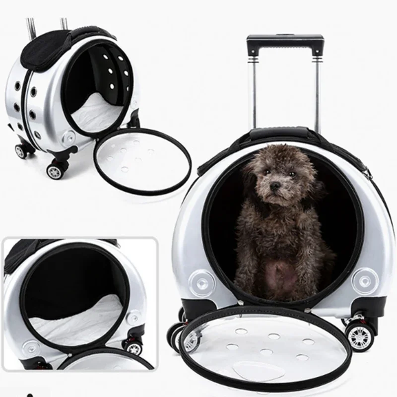 Transparent Cat Bag Multi-purpose Double Shoulder Cat Carrier Large Capacity Backpack for Cats Portable Outdoors Dog Supplies - Image 4