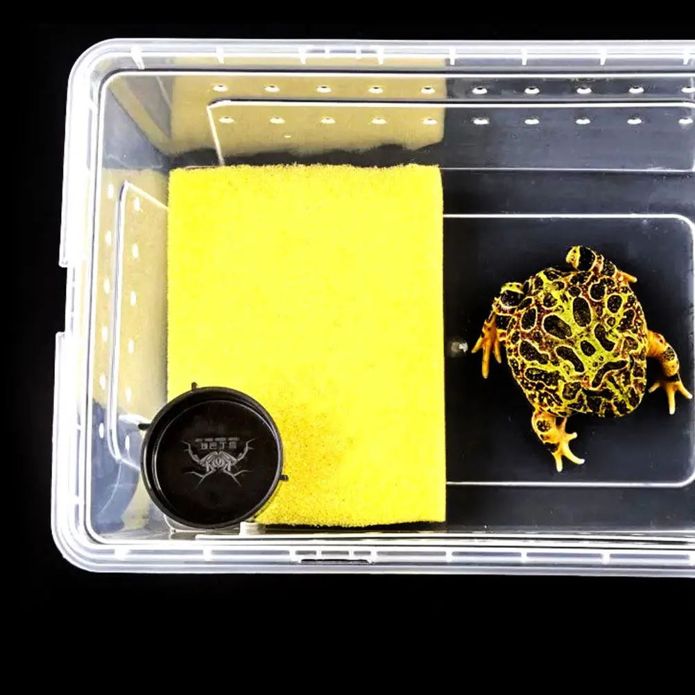 4pcs Reptile Feeding Plates Round Durable Non-Slip Spider Lizard Feed Bowls Water Holders Cage Feeding Supplies Pet