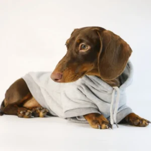 Cool Dog Sausage Hoodie for Small Dogs Warm Puppy Clothes Dachshund Pullover Mascotas Costume Clothing roupa cachorro