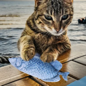 2Pcs Imitation Interactive Electronic Amusement Pet Supply Training Chew Resistant Soft Fish for Cats