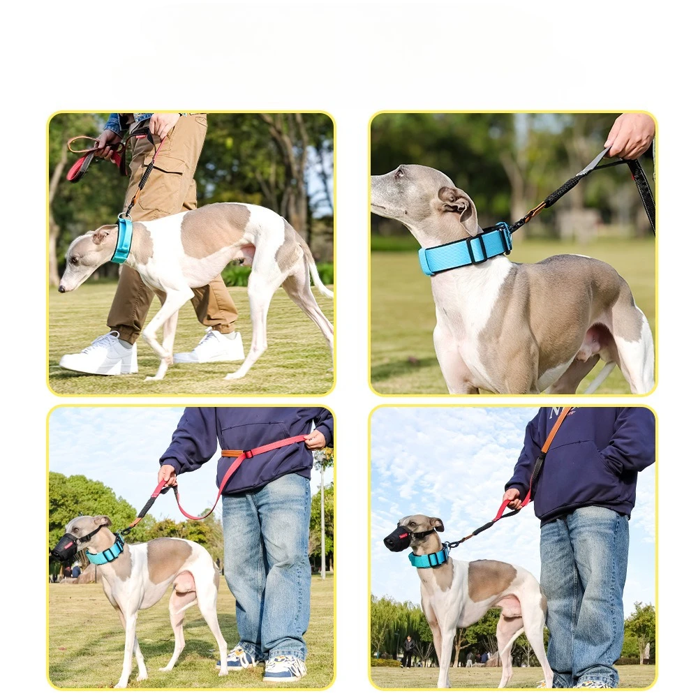 Heavy Duty Tactical Bungee Dog Leash No Pull Dog Leash Shock Absorbing Pet Leashes for Large Dogs Dog Accessories - Image 3