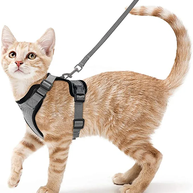 Summer Cat Dog Harness Lead Leash Adjustable Vest Polyester Mesh Breathable Harnesses Reflective for Small Dog Cat Lesah - Image 12