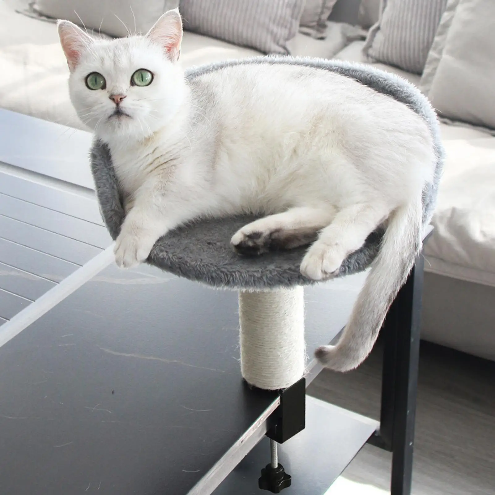 Cat Desk Perch Adjustable Desktop Floating Cat Bed Rotation Desk Clamp Kitten Bed Space-Saving Cat Hammock Perch For Table - Image 3