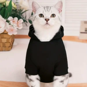 Pet Cat Autumn/Winter New Black Hoodie with Fleece Lining, Letter Print Two-Legged Sweatshirt for Small To Medium-Sized Dogs