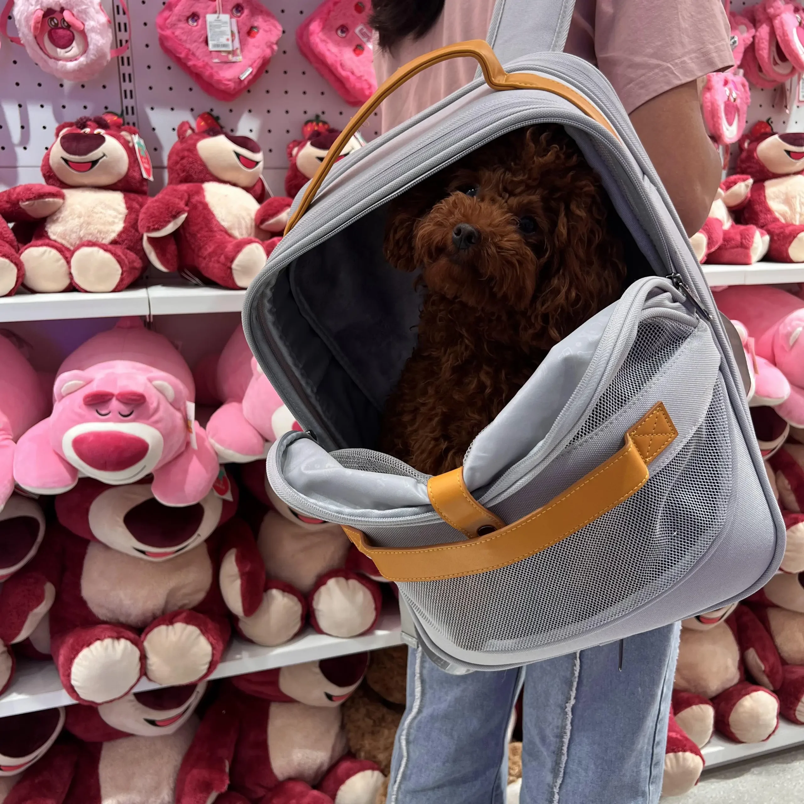 Breathable Dog Carrier Backpack for Small to Medium Dogs And Cats with Head out Design Comfortable Hands-Free Hiking Travel - Image 4