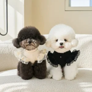 Fashion Lace Pet Summer Vest Soft Breathable Cat Base Skirt Flying Sleeve Pet Dress Small Animal