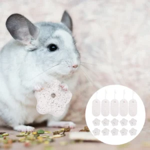 15Pcs Pet Grinding Stone Rabbit Hamster Teeth Molars Chewing Playthings Protective Dental Health Small Pet Companion