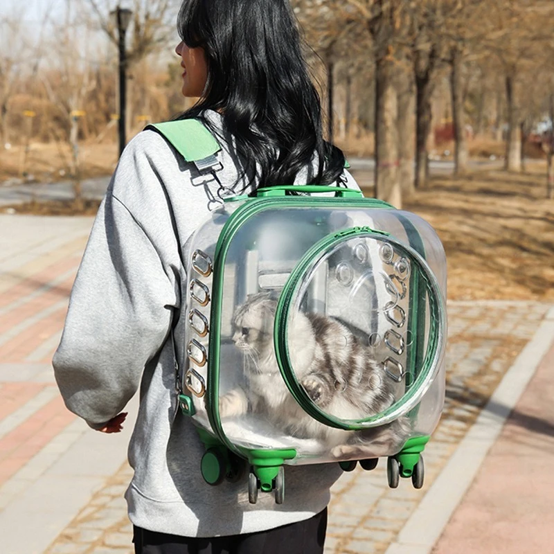 Outdoor Cats Backpack Pet Transparent Cat Accessories Bag Large Capacity Breathable Kitten Cat Carrier Women's Shoulder Bags - Image 2