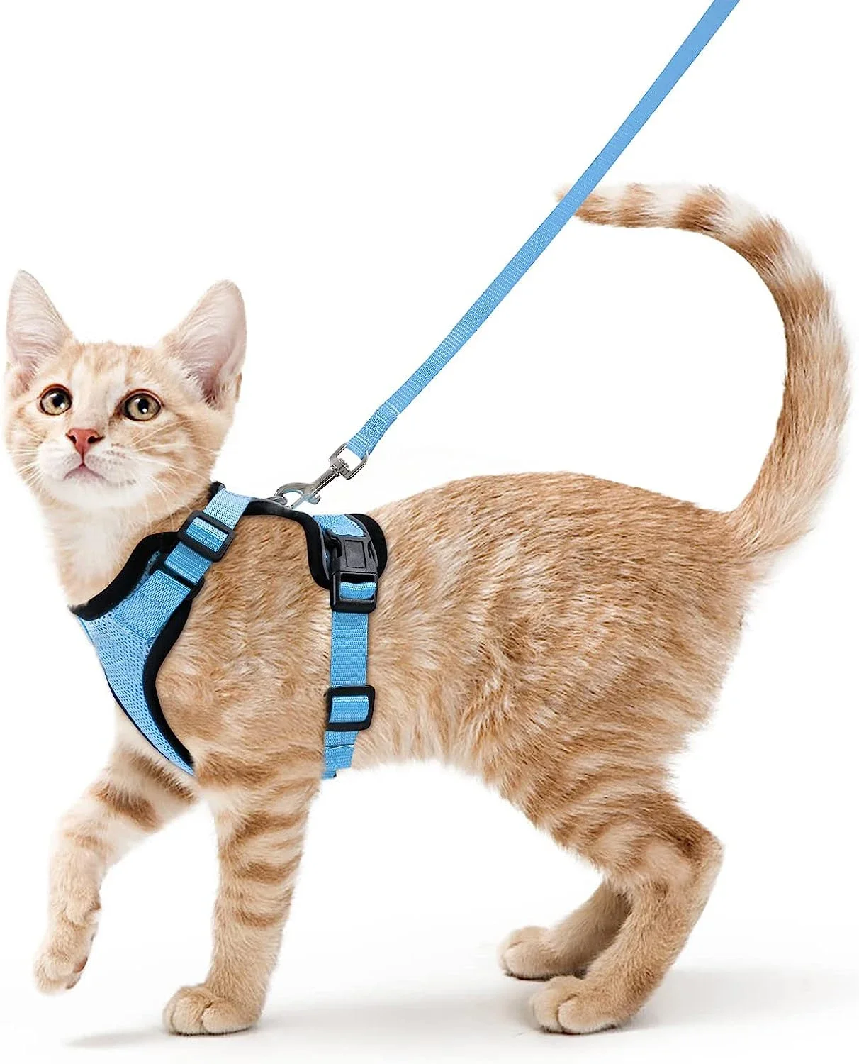 Summer Cat Dog Harness Lead Leash Adjustable Vest Polyester Mesh Breathable Harnesses Reflective for Small Dog Cat Lesah - Image 15