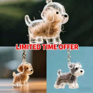 Lovely Dog Hair Storage Keychain Pendant for Bags, Couples Car Keys, Unique Jewelry Souvenir Gift Decoration Accessories Set