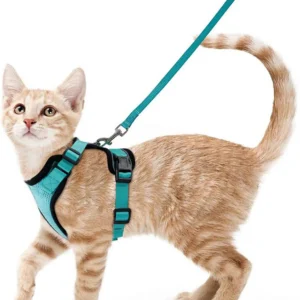 Summer Cat Dog Harness Lead Leash Adjustable Vest Polyester Mesh Breathable Harnesses Reflective for Small Dog Cat Lesah