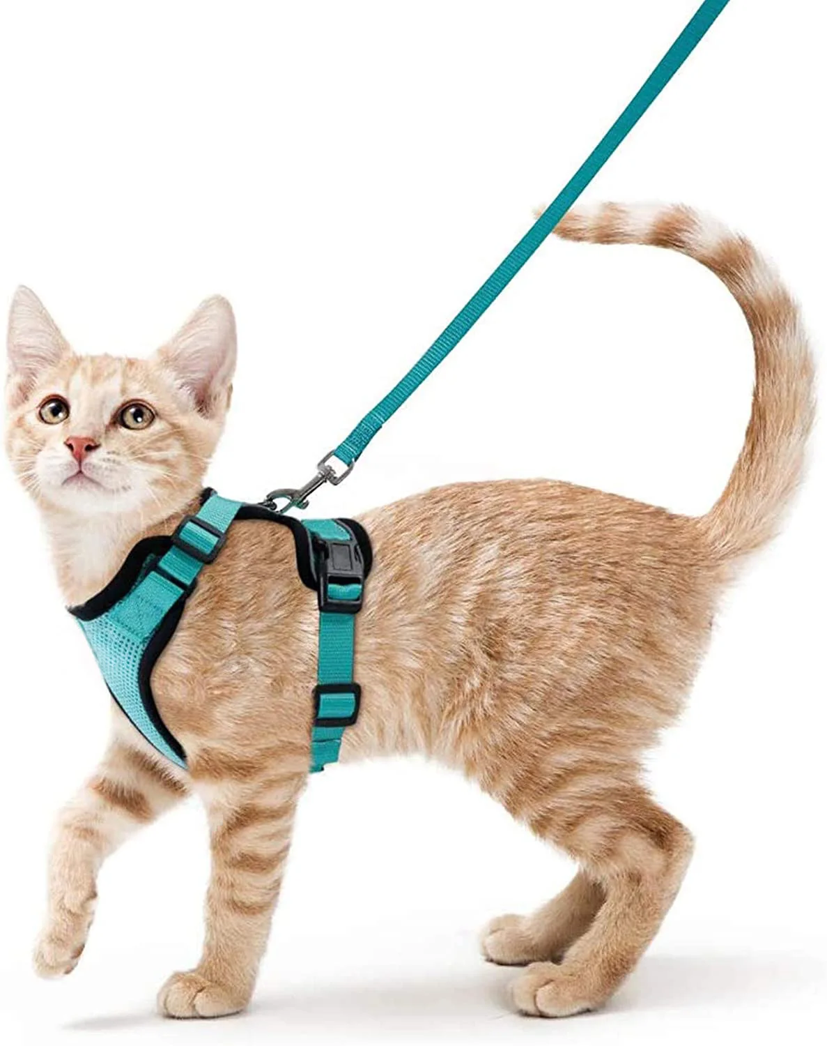 Summer Cat Dog Harness Lead Leash Adjustable Vest Polyester Mesh Breathable Harnesses Reflective for Small Dog Cat Lesah