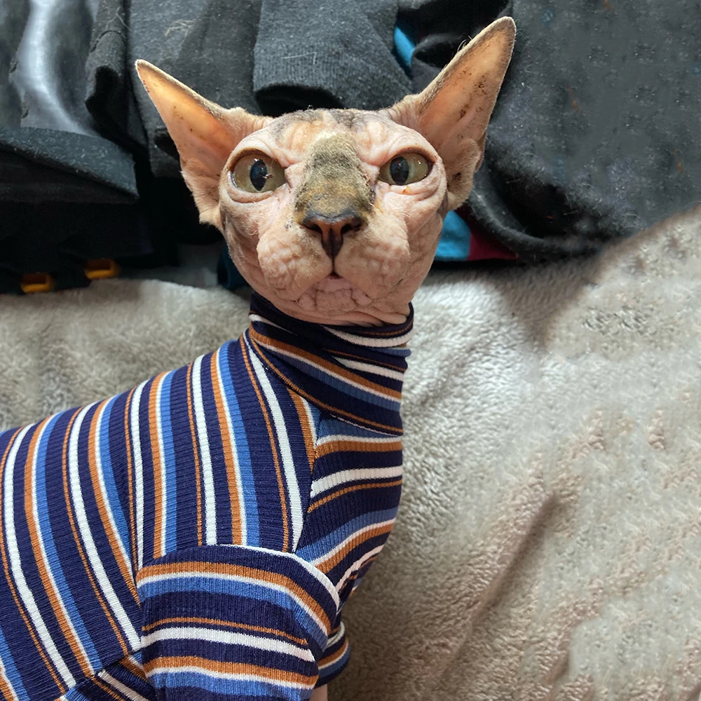 New Sphinx Devon Hairless Cat Clothes For Kitten Knitted Striped High Collar Cat Clothing Spring Autumn Kitty Costume For Pet - Image 2