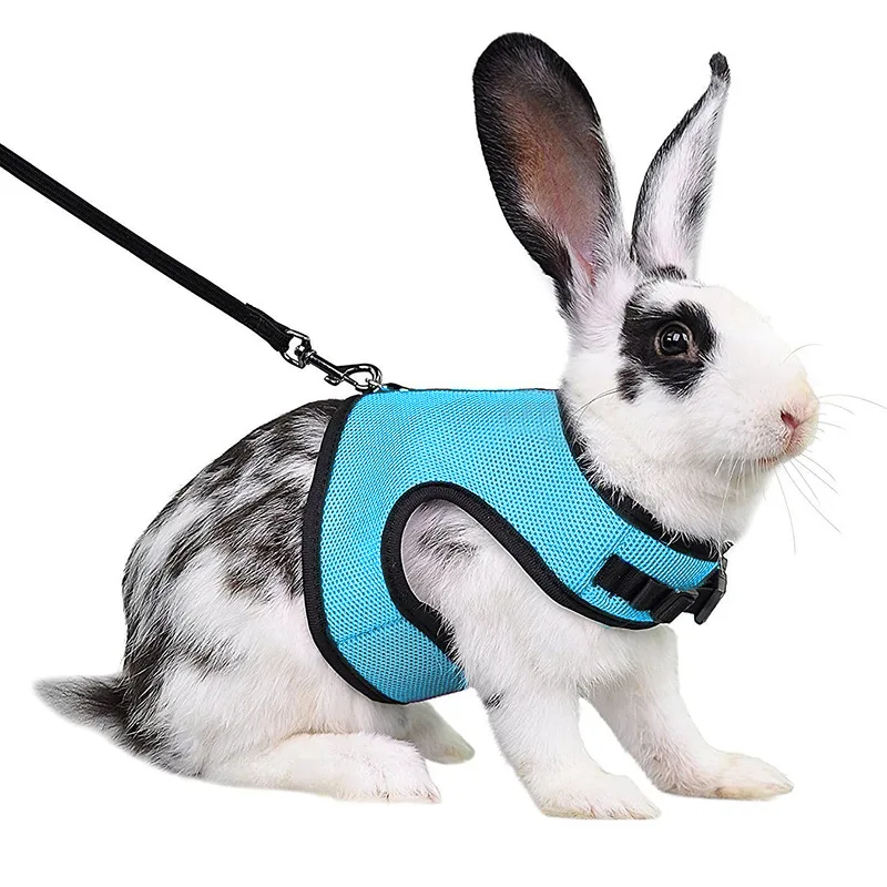 Mesh Breathable Ferret Bunny Harness Leash Set for Small Animals Rabbit Hamsters Summer Walking Pet Lead mascotas Accessories - Image 12