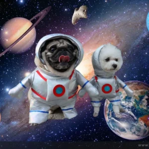 Pet Small And Medium-sized Dog Clothes Astronaut Spacesuit Standing Outfit Cat Role-playing Costume Funny Clothing