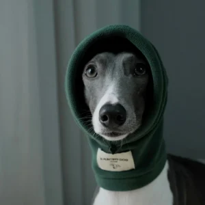 Warm Soft High-neck Fleece Green Grey Hat for Italian Greyhound in Winter Fashion Adjustable Beige Black Velvet Scarf for Dogs