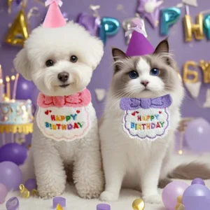 Pet Birthday Hat Scarf Set Adjustable Cat Dog Birthday Supplies Mini Pet Saliva Towel Suitable for Cat and Dog Party Decoration
