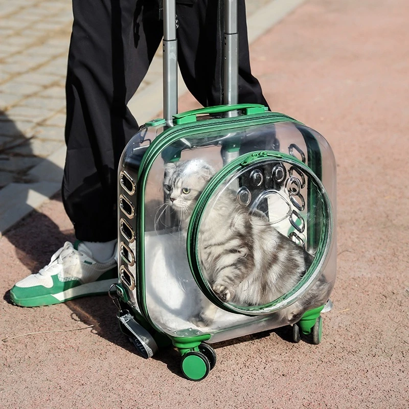 Outdoor Cats Backpack Pet Transparent Cat Accessories Bag Large Capacity Breathable Kitten Cat Carrier Women's Shoulder Bags - Image 3
