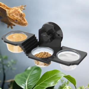 Three in one reptile feeding bowl, wall mounted feeder with suction cup, suitable for lizards, chameleons, geckos, frogs, snakes