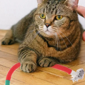 4Pcs Catnip Rope Chewing Playthings Lightweight Cotton Rope for Cats Natural Instinct Fun Indoor Entertaining Chew Grinding