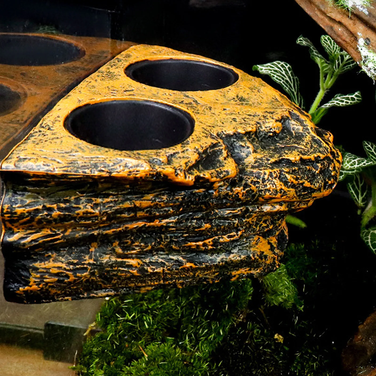 Reptile Magnetic Feeder Ledge Reptile Food Water Dish Bowl Terrarium Tank Decor Accessories for Gecko Lizard Chameleon Pets - Image 5