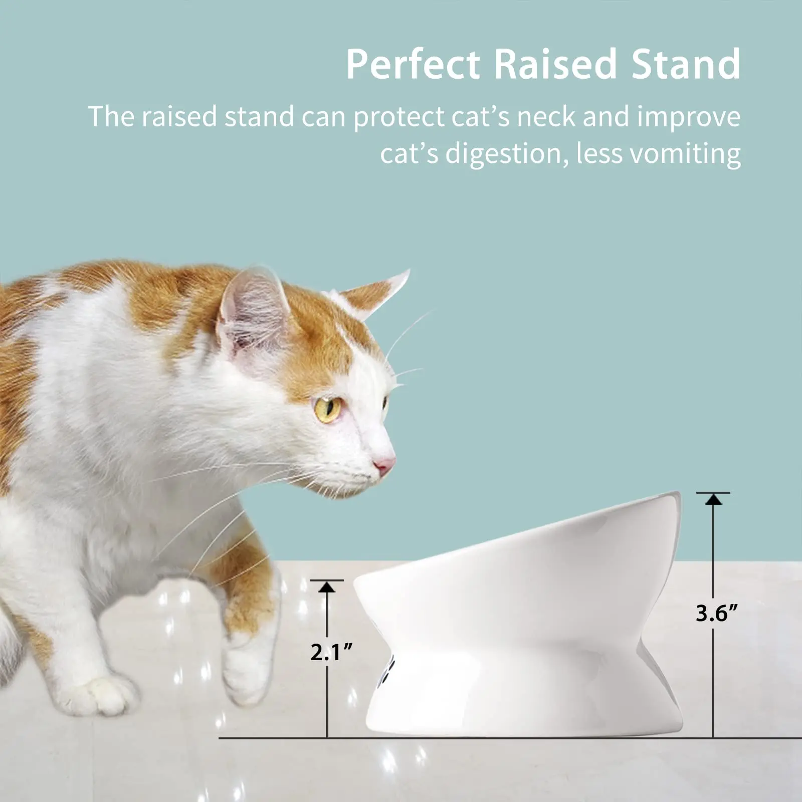 15° Tilted Raised Cat Bowl, Ceramic Anti-Vomiting Pet Dish Whisker Friendly Neck Protection Non-Slip Dishwasher Safe for Cats - Image 3