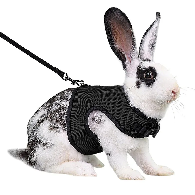Mesh Breathable Ferret Bunny Harness Leash Set for Small Animals Rabbit Hamsters Summer Walking Pet Lead mascotas Accessories - Image 9